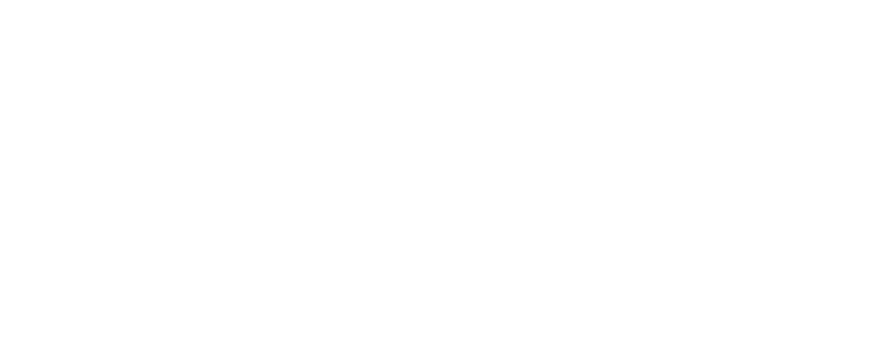 Stride_logo_white cropped