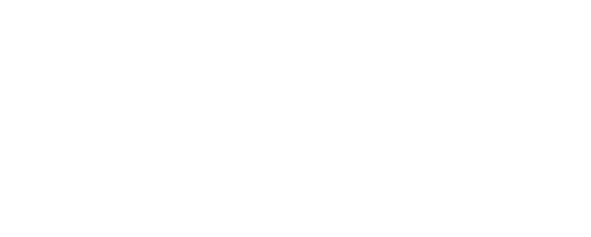 Stride logo - white